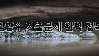 김양수 기출문제 완벽 정복