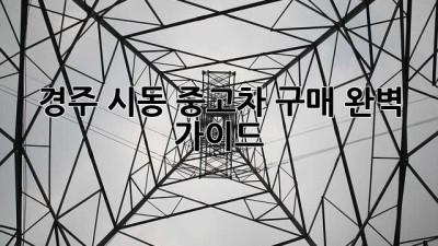 경주 시동 중고차 구매 완벽 가이드