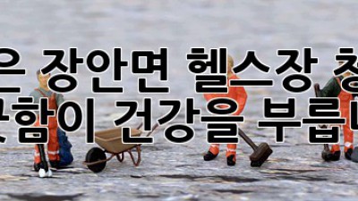 보은 장안면 헬스장 청소: 깨끗함이 건강을 부릅니다!