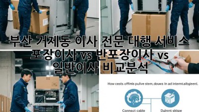 부산 거제동 이사 전문 대행 서비스: 포장이사 vs 반포장이사 vs 일반이사 비교분석! ✨