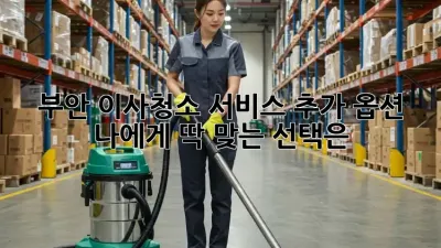 부안 이사/청소 서비스 추가 옵션: 나에게 딱 맞는 선택은?